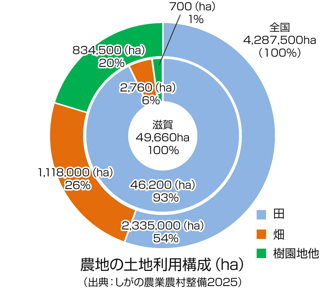 農地の土地利用構成