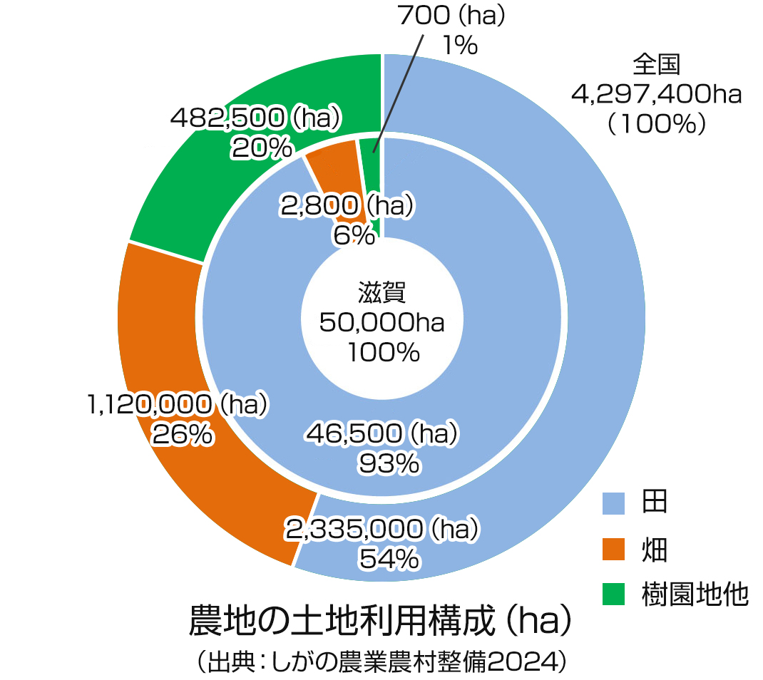 農地の土地利用構成